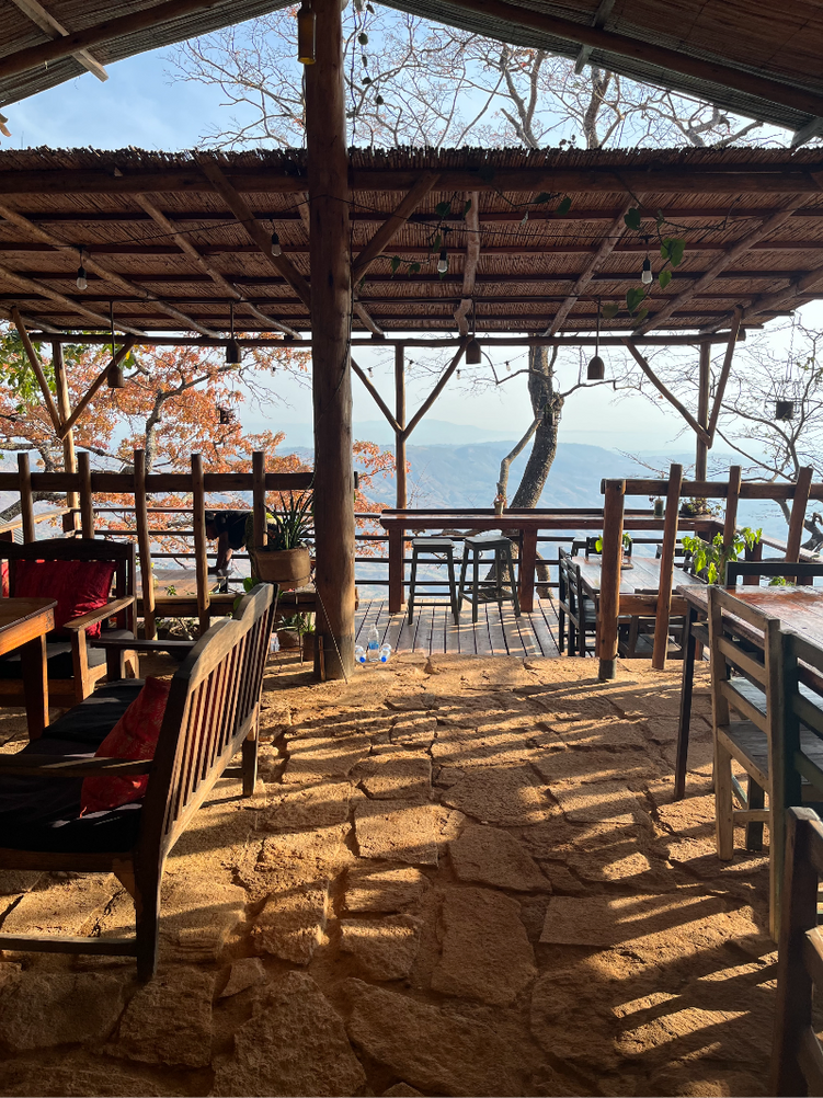 mushroom farm bar area